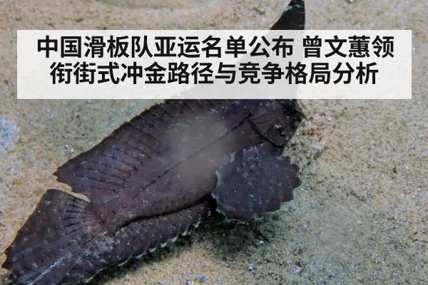 中国滑板队亚运名单公布 曾文蕙领衔街式冲金路径与竞争格局分析