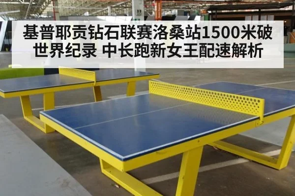 基普耶贡钻石联赛洛桑站1500米破世界纪录 中长跑新女王配速解析